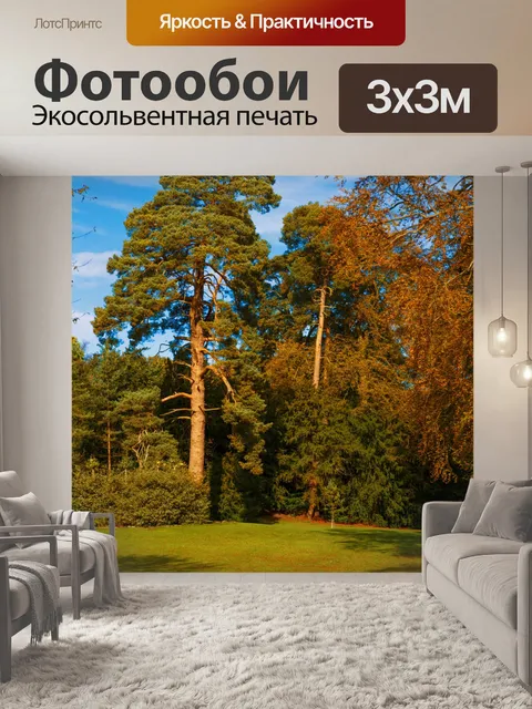 Фотообои Парк осенью