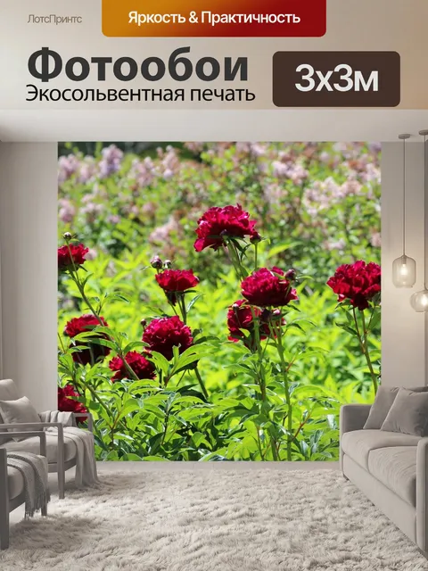 Фотообои Цветы