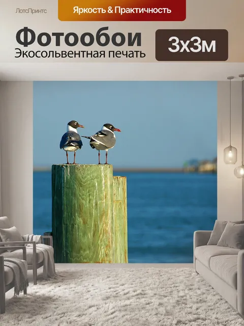 Фотообои Смеясь Чайки