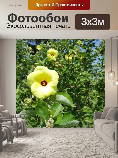 Фотообои Осень
