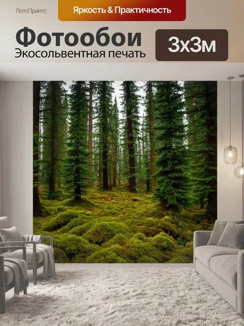 Фотообои лес с высокими елями и густой подстилкой из мха