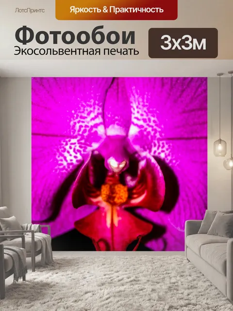 Фотообои Цветок орхидеи