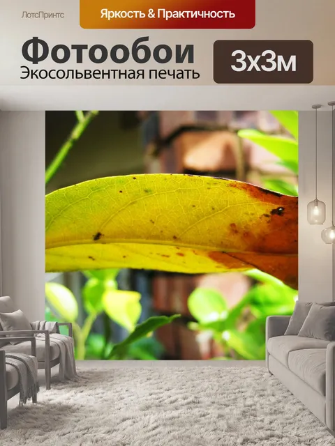 Фотообои умирает желтый лист