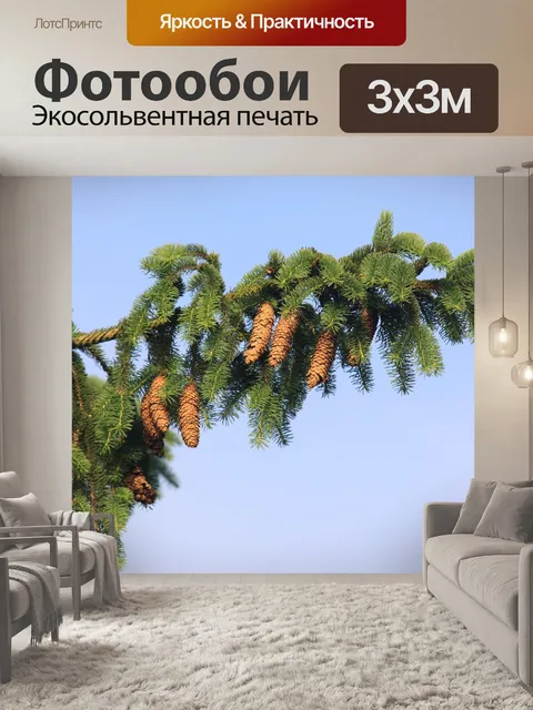 Фотообои Норвегская ель