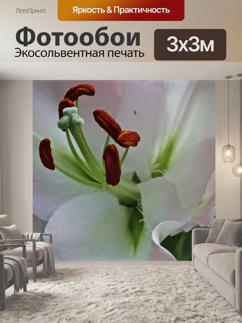 Фотообои розовые лилии