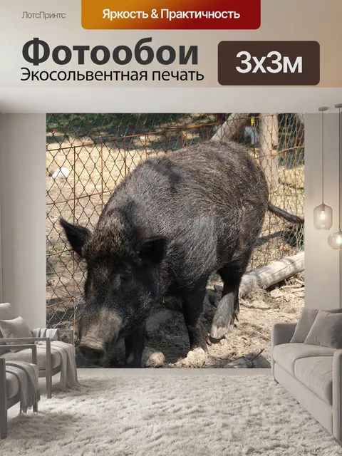 Фотообои Кабан