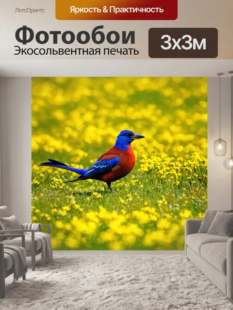 Фотообои птица с ярким перерывом