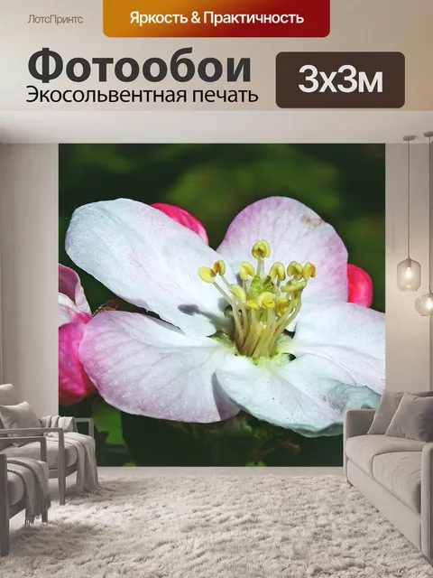 Фотообои Apple