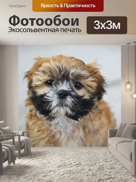 Фотообои Щенок