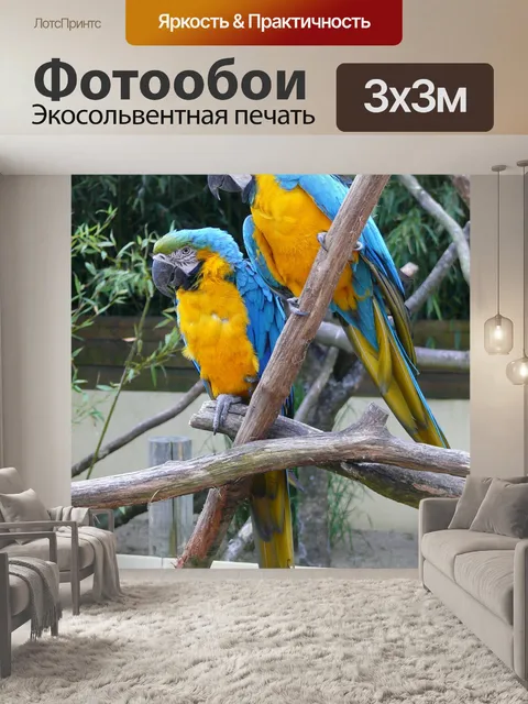 Фотообои Птица