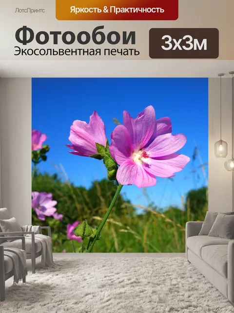 Фотообои Герань