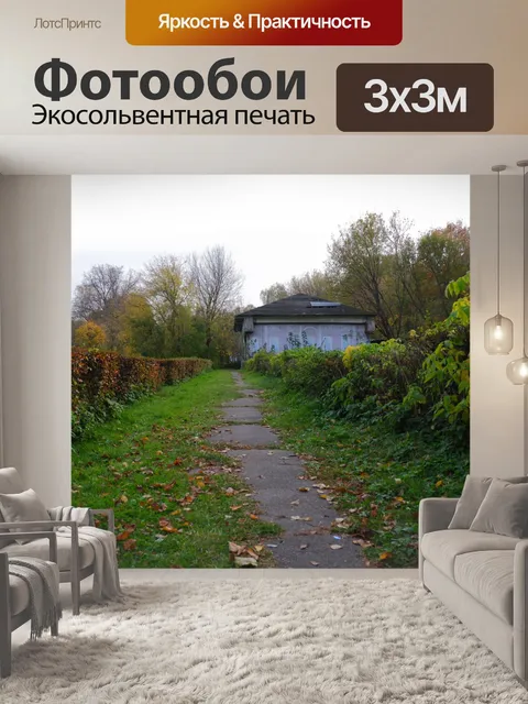 Фотообои осень, лес, парк