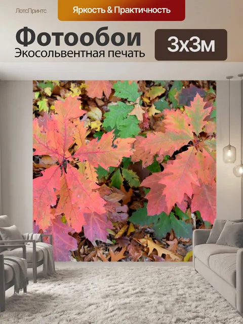 Фотообои Осень
