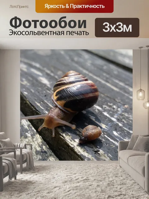 Фотообои Улитки