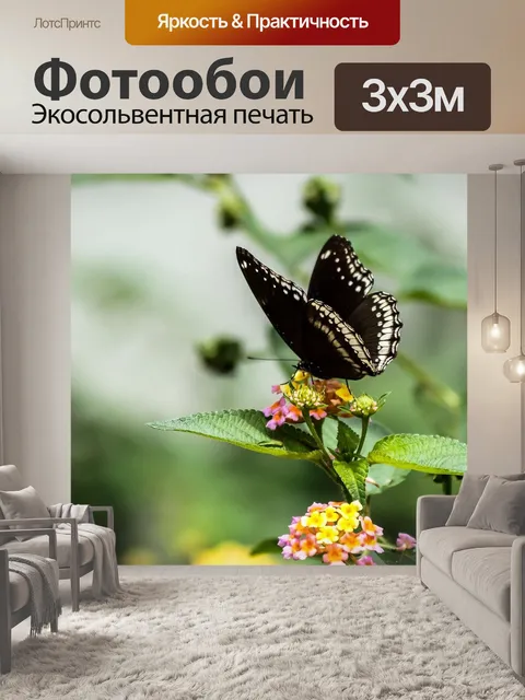 Фотообои Бабочка