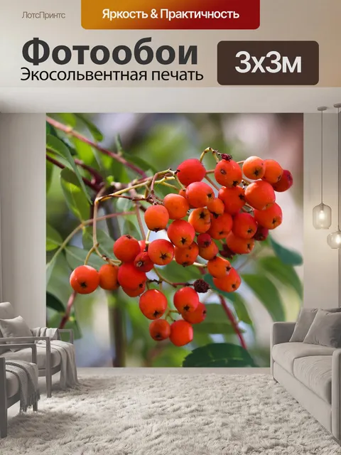 Фотообои Рябина