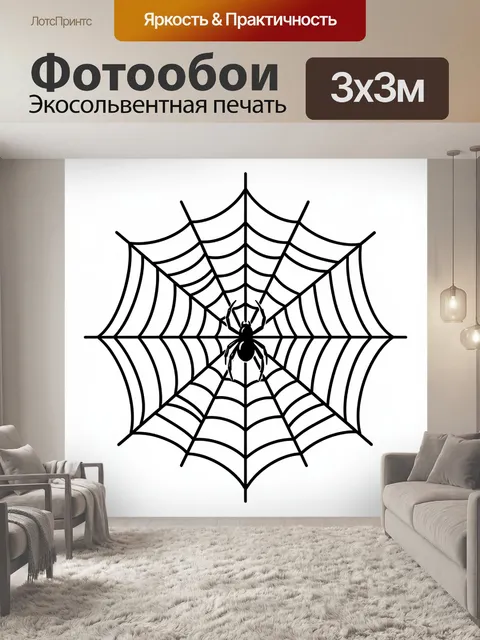 Фотообои Черный паук в паутине