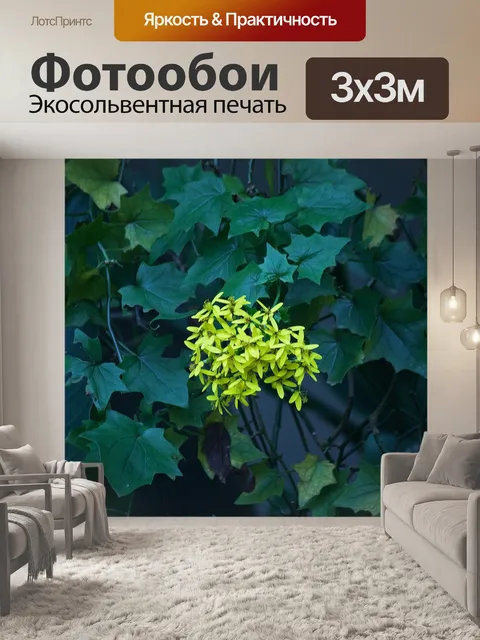 Фотообои желтые цветы на канарейке