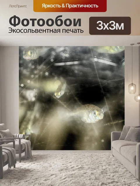 Фотообои Рыбы