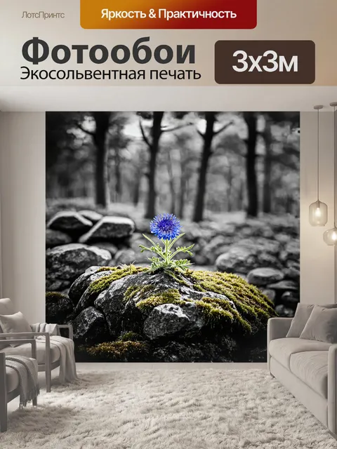 Фотообои одинокий василёк, растущий на скале, в окружении мшистых камней и обветренных деревьев