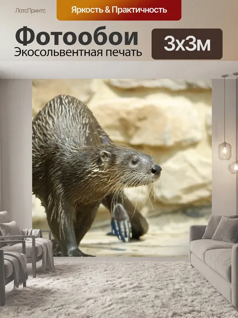 Фотообои Река выдра