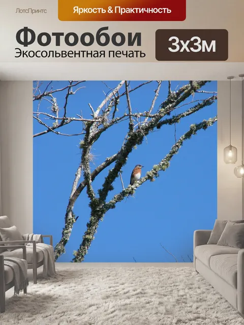 Фотообои Восточная синяя птица