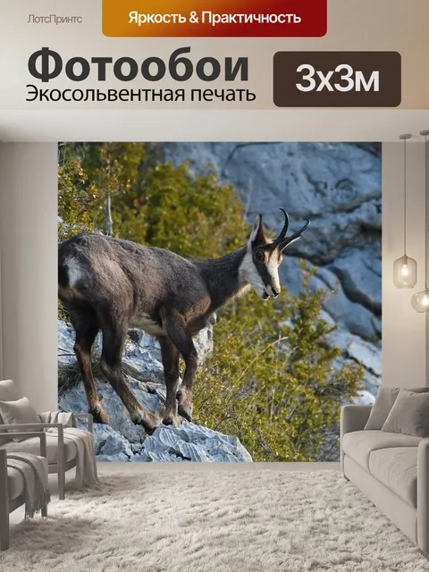 Фотообои Замша
