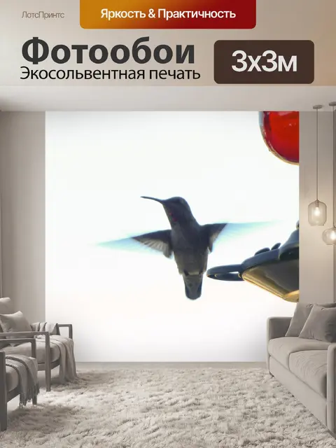 Фотообои Колибри в крыльях