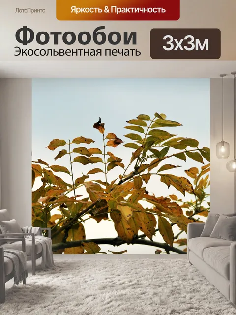 Фотообои глицинии листья желтеют