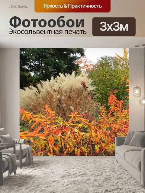 Фотообои Падение