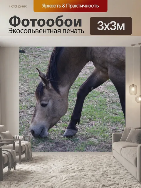 Фотообои Пасущийся конь