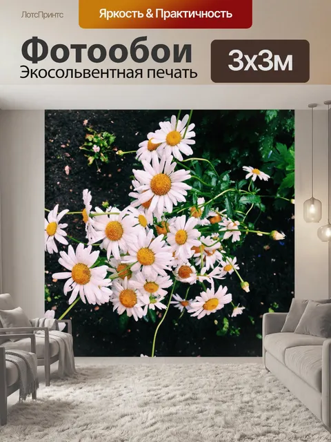 Фотообои Букет ромашек