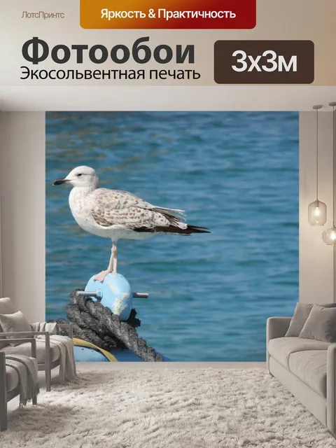 Фотообои Птицы