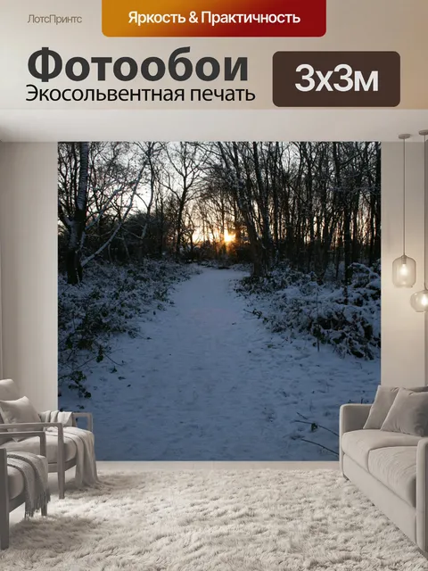 Фотообои Снег Путь