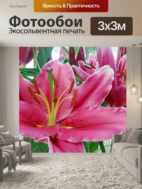 Фотообои темно-розовые лилии