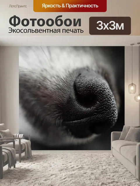 Фотообои Собака