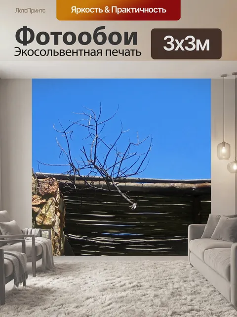 Фотообои Сухая ветка застряла на крыше веранды