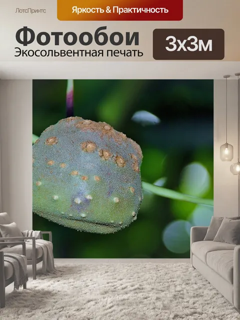 Фотообои Дерево