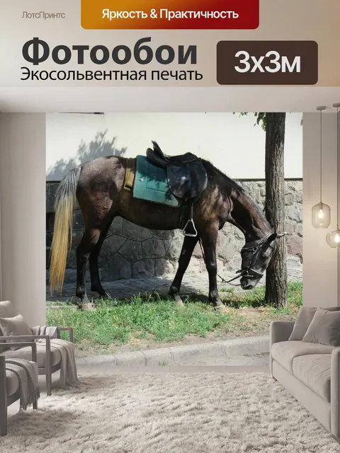 Фотообои Лошадь