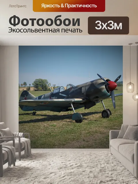 Фотообои Военная птица