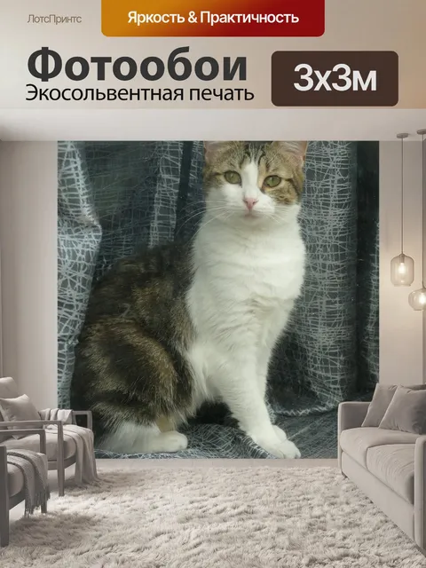 Фотообои Кошка