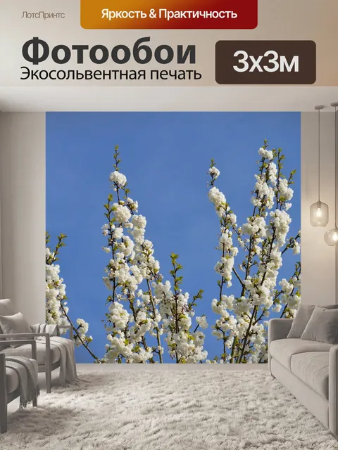 Фотообои Весна