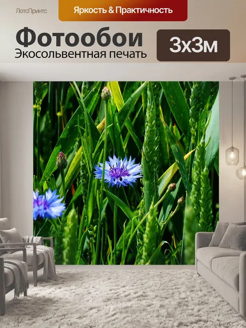 Фотообои Васильковый