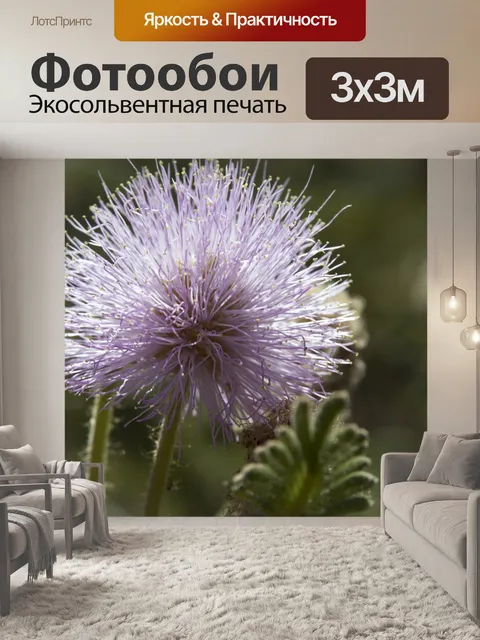 Фотообои Природа