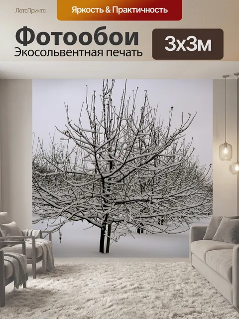 Фотообои Деревья Apple, в снегу