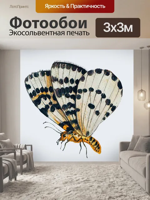 Фотообои Мотылек бабочка винтажное искусство
