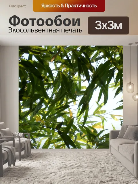 Фотообои Растение бамбуковая листва зеленая