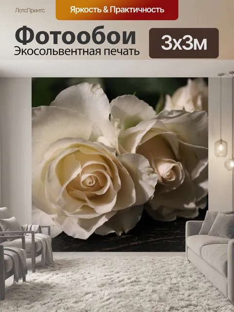 Фотообои Белая роза