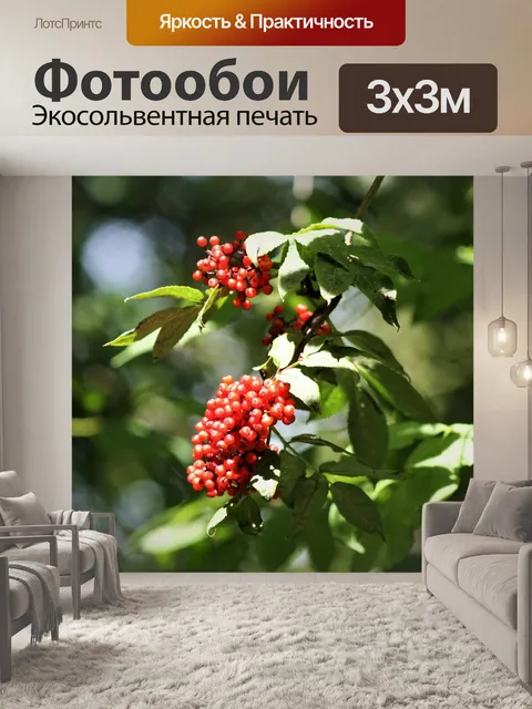 Фотообои Кричать