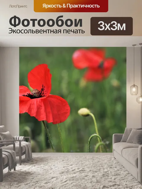 Фотообои Красные маки